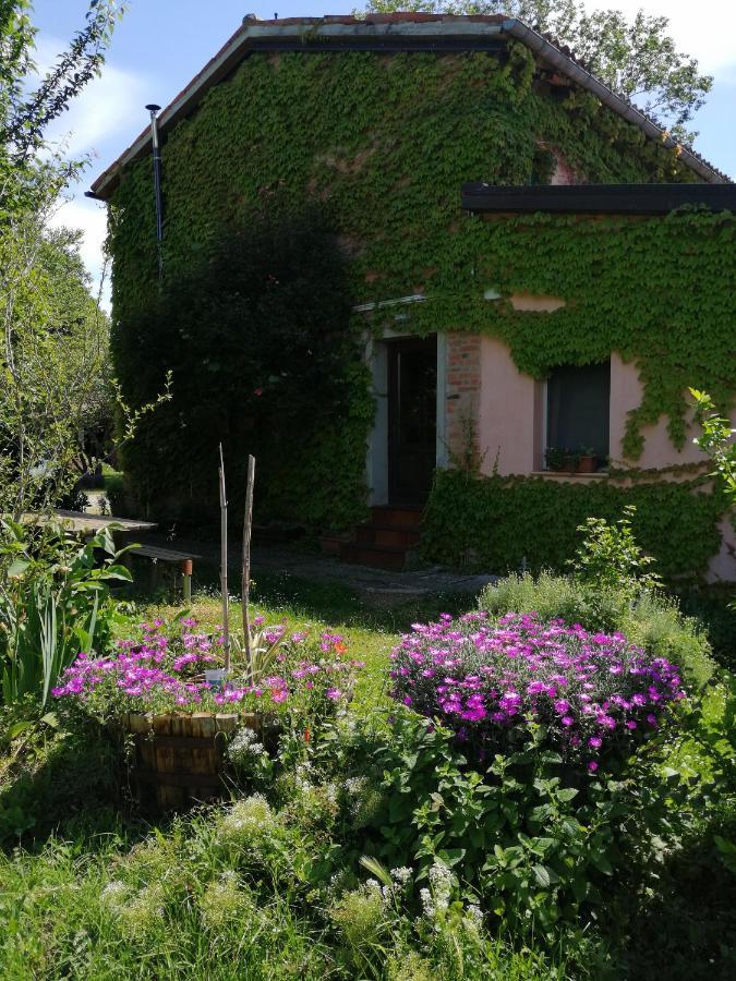 Agriturismo Il Palazzo Villa Brisighella Buitenkant foto
